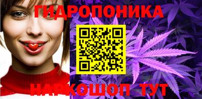 стафф Краснознаменск