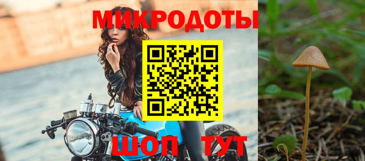 Галлюциногенные грибы Cubensis  Вход с VPN  Шали  Псилоцибиновые грибы мухоморы 